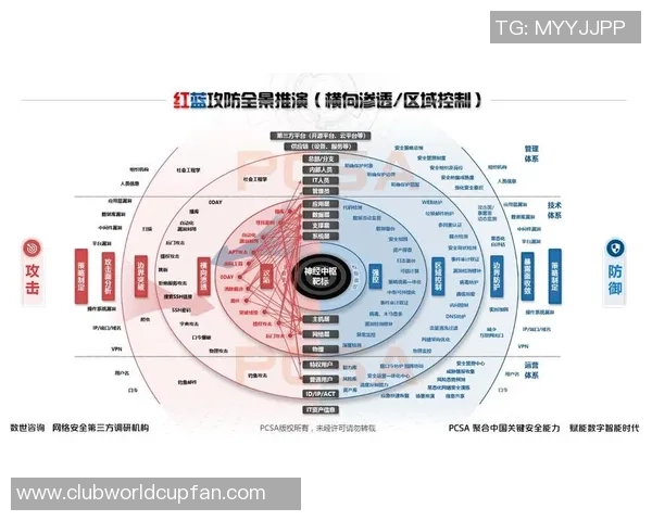 南京排球队的团队协作策略与实战表现深度分析与探讨